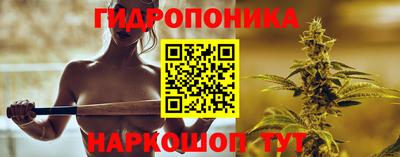 ешки Бердск