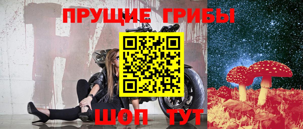 Псилоцибиновые грибы мицелий  Вход с VPN  Звенигород 
