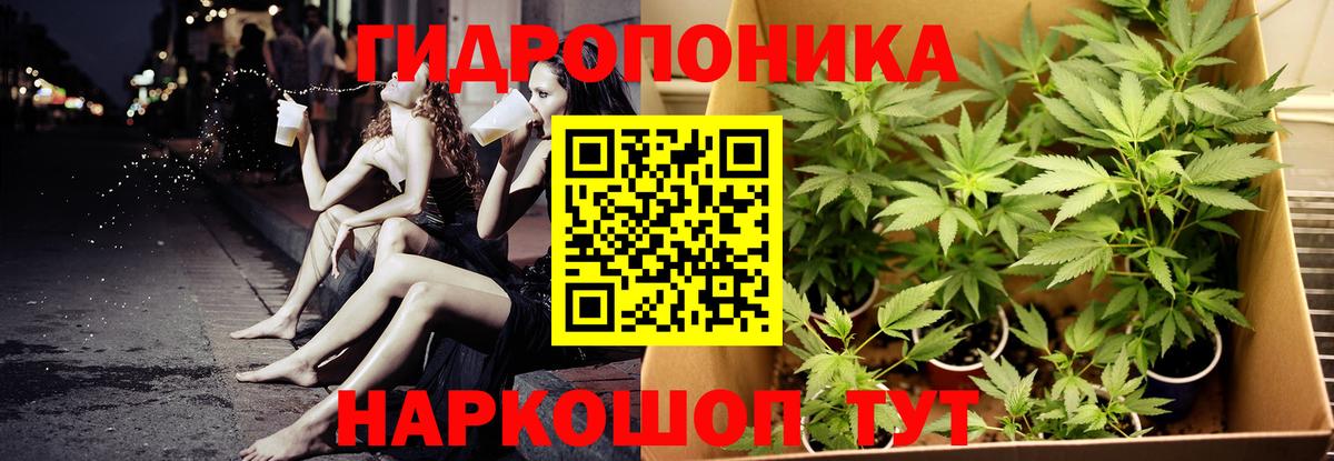 Марихуана семена Звенигород